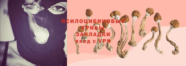 прущая мука Краснослободск