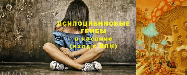 прущая мука Краснослободск