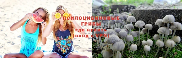 прущие крисы Краснотурьинск