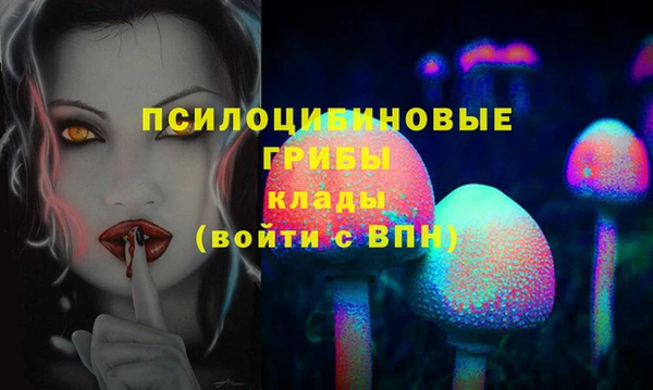 прущая мука Краснослободск