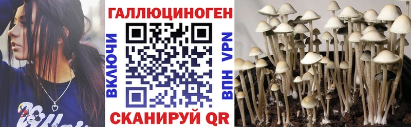 как найти закладки  Юхнов  MEGA ссылки  Псилоцибиновые грибы MAGIC MUSHROOMS 